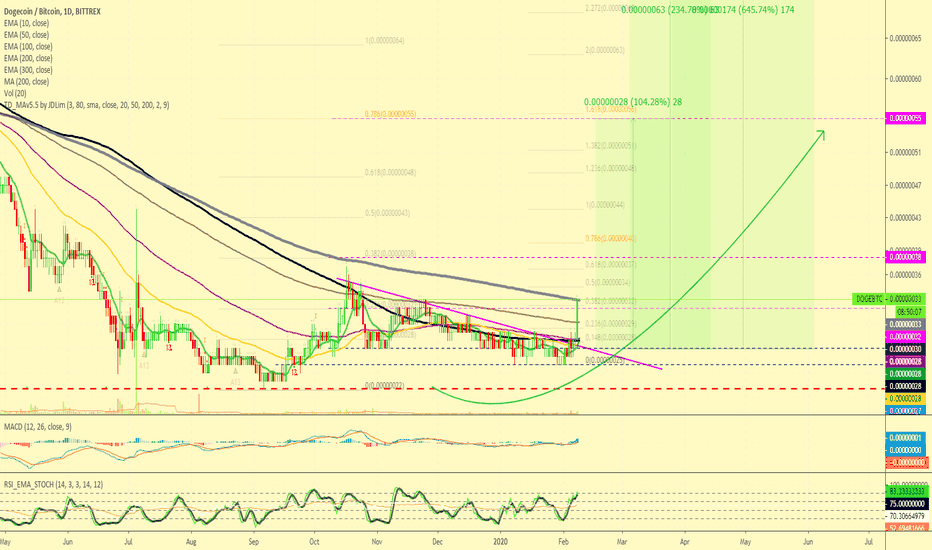Dogecoin Is Done Preparing, Up To 600% Possible