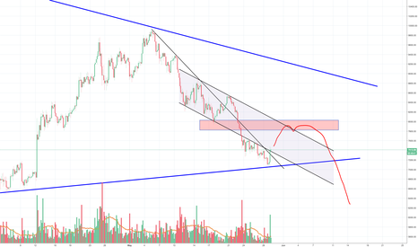 Bitcoin has started it's small relief rally towards 7800