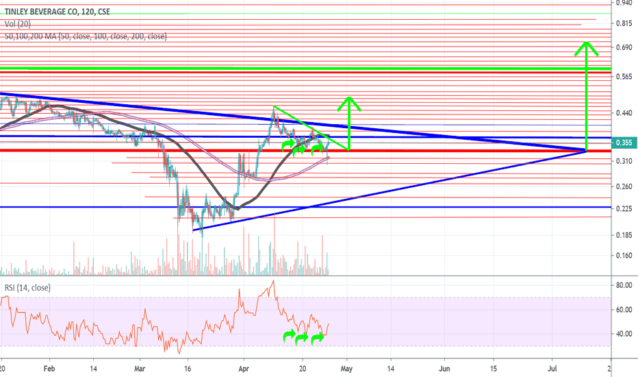 Triple Bottom on the RSI & price.