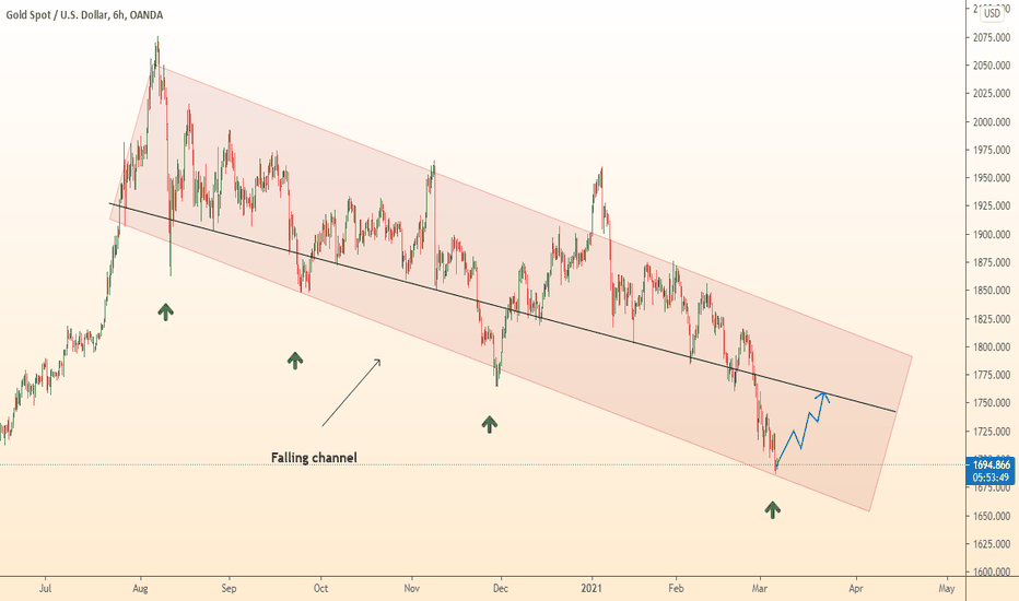 GOLD Forecast Update / Growth