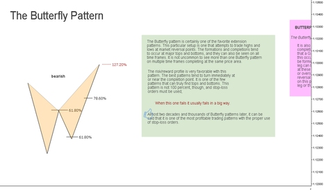 The Butterfly Pattern // Educational ®