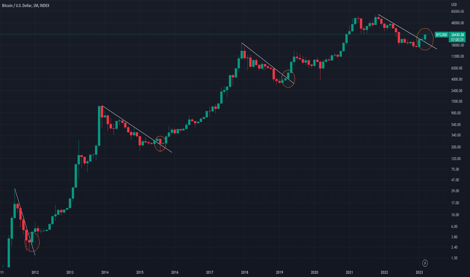 #BTC Bull Market