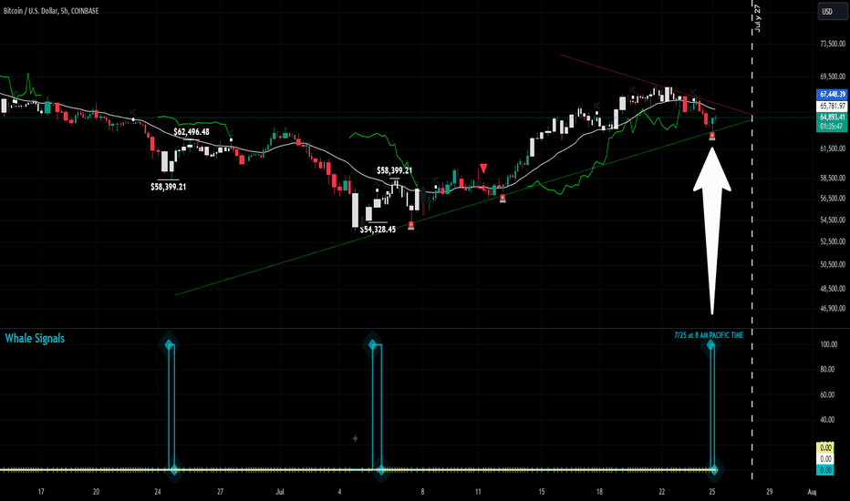 WHALE SIGNALS something BULLISH
