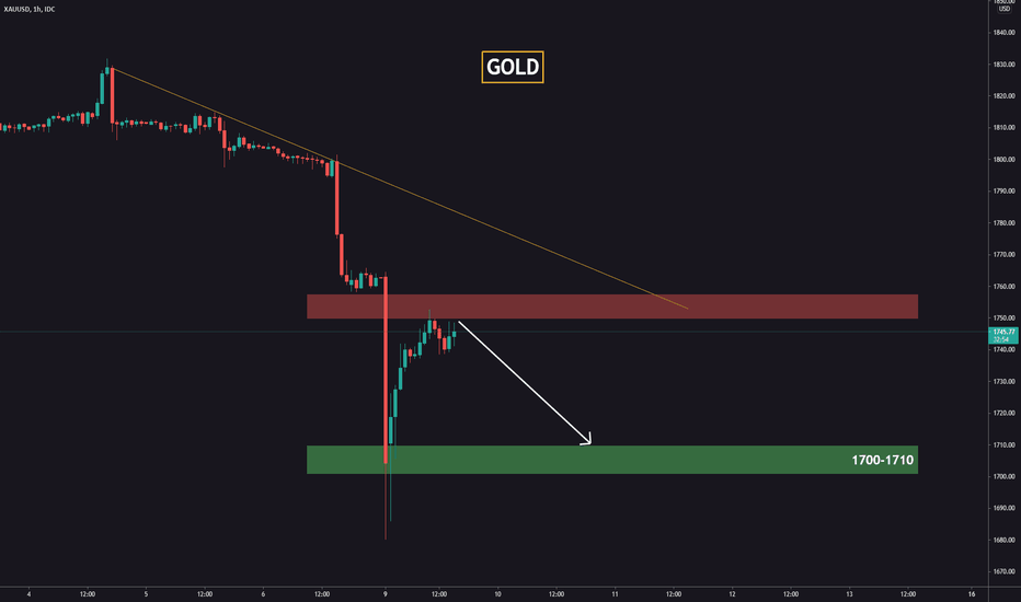 Gold prices plunge. What to expect?