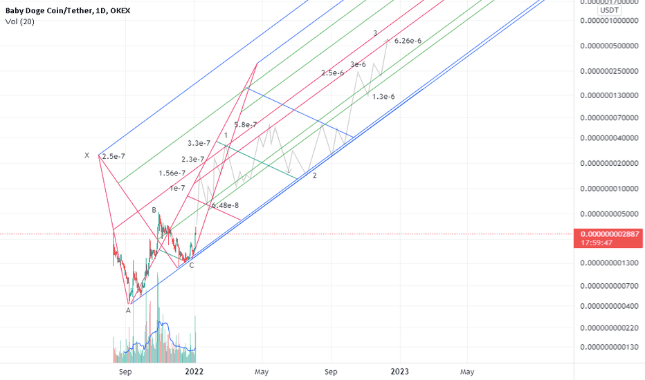 BabyDoge in the way of the 1st wave