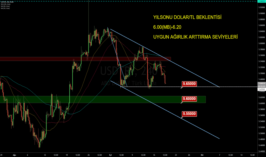 DOLAR/TL Yıl sonu hazırlığı