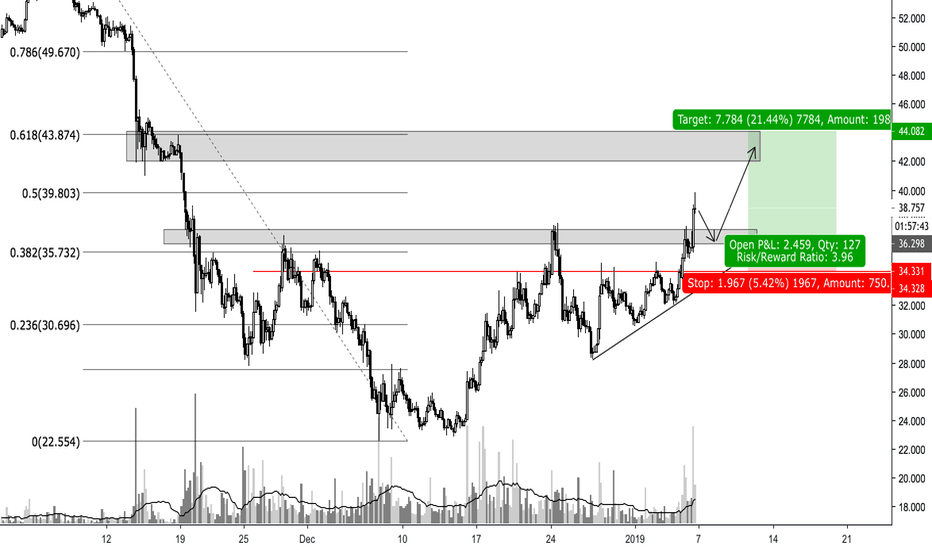 Litecoin - Surprising coin in bearish market timing