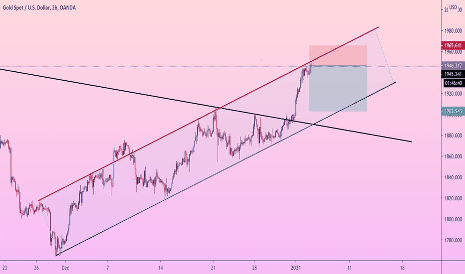 GOLD +170 p NEXT STEP