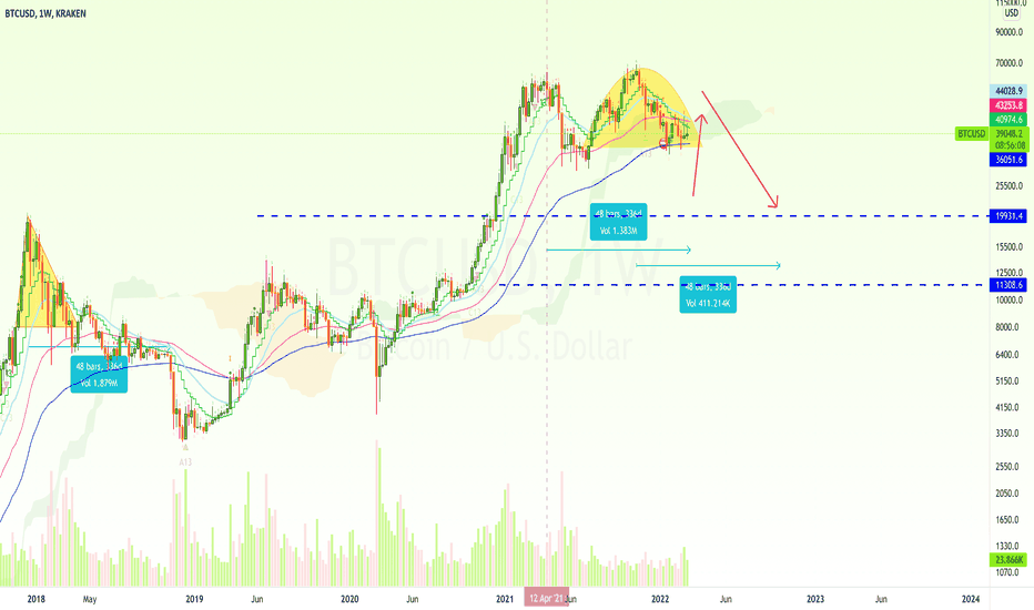 Bitcoin's Bear Run