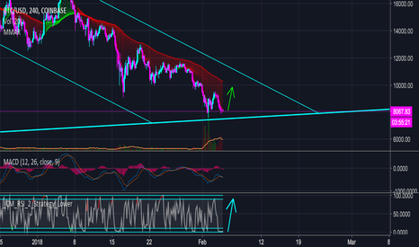 Bitcoin Update Feb 5