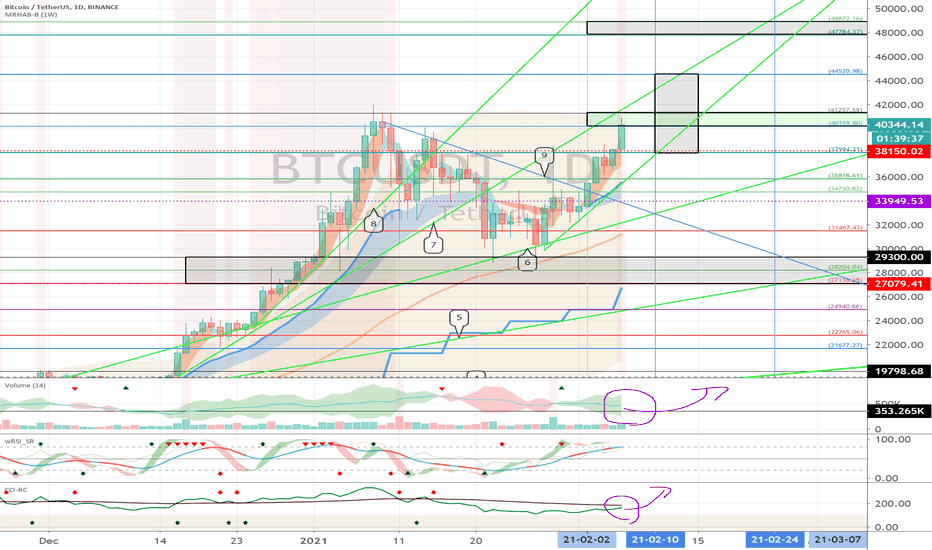 Bitcoin (BTC) - February 7