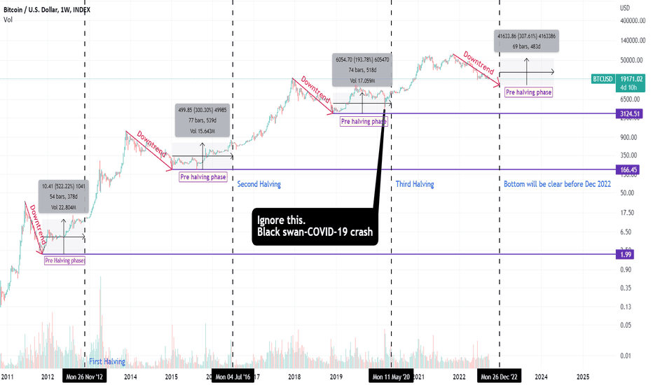 Bitcoin Pre-Halving bull run from Jan 2023