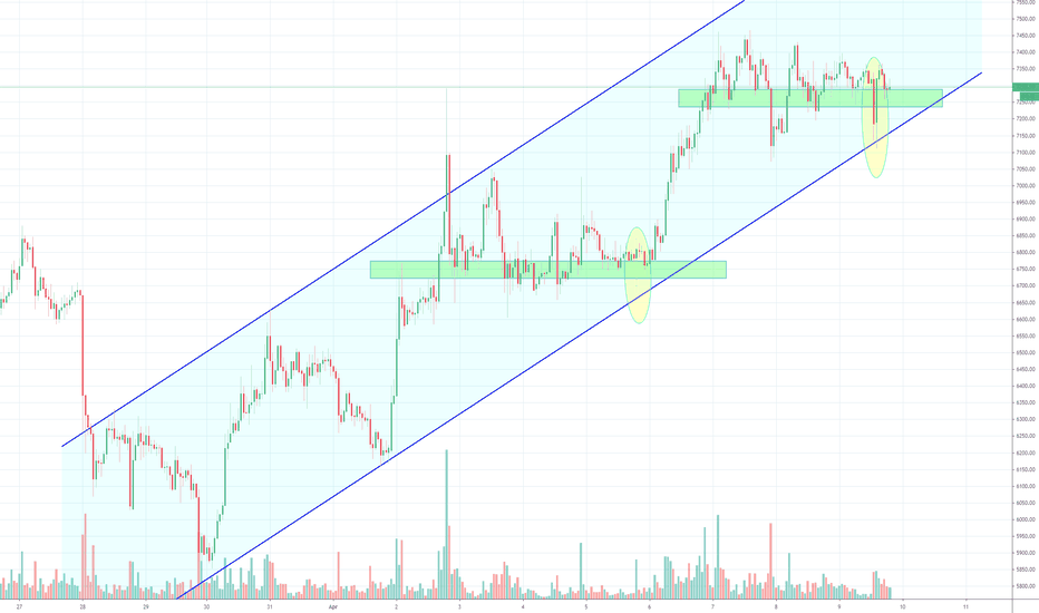 Bitcoin's Bull Trap