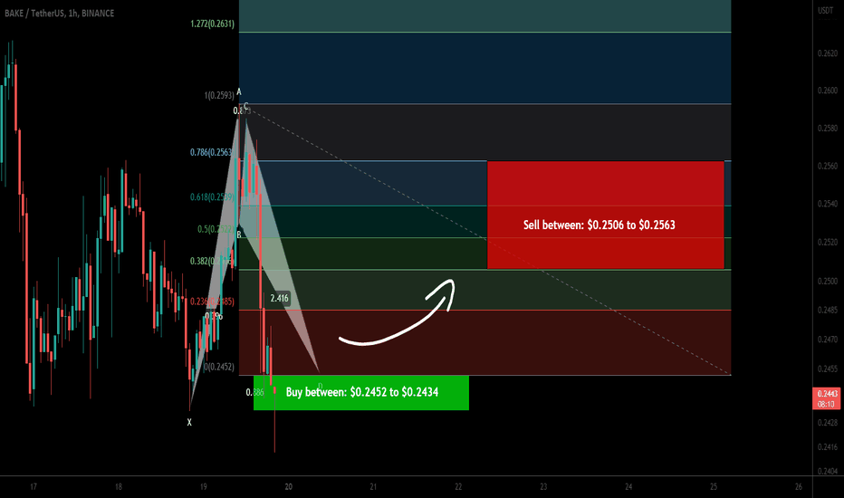 BakeryToken (BAKE) formed bullish BAT | A good buy opportunity