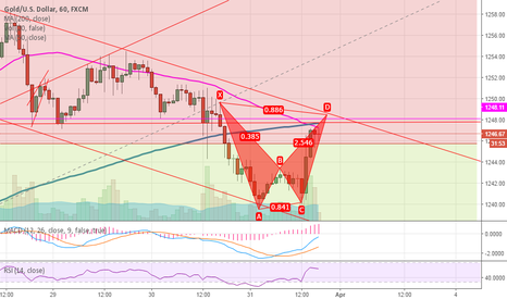 Going down with this Bear Bat Pattern