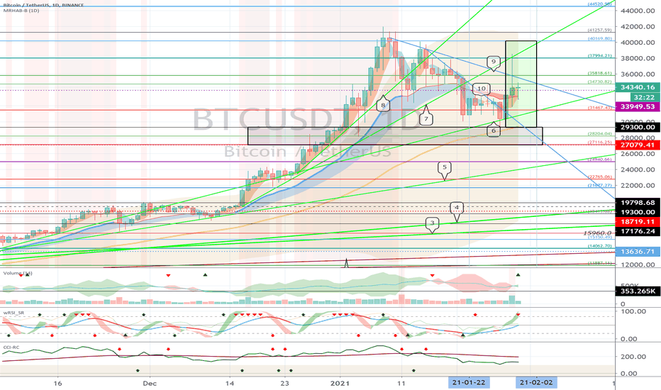 Bitcoin (BTC) - January 31