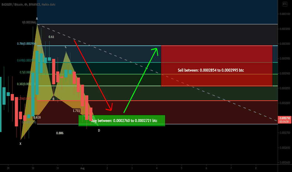 Badger DAO formed bullish BAT | A good long opportunity