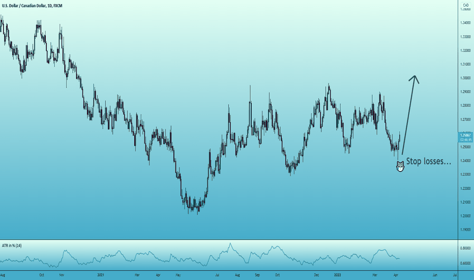 USD possible strength, CAD weakness