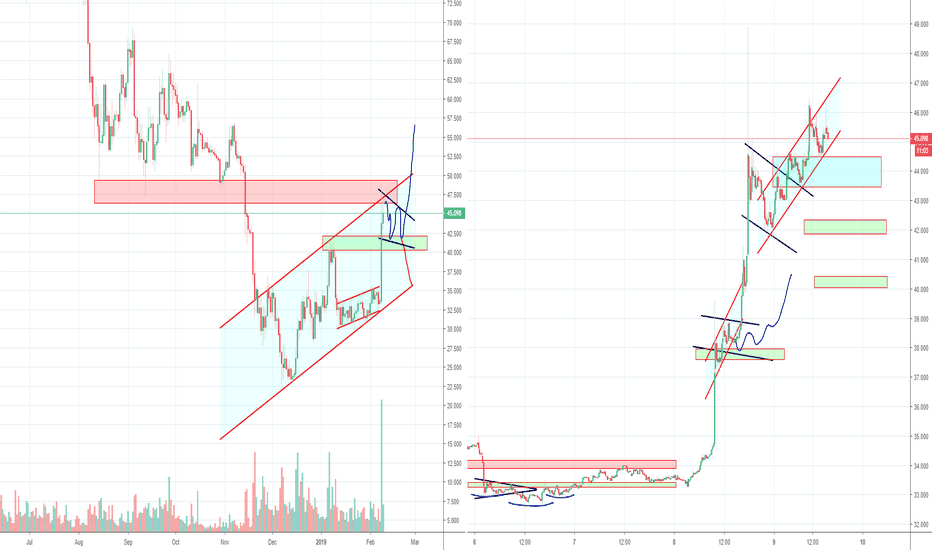 Litecoin LTC Long Term Low Set or just a Correction