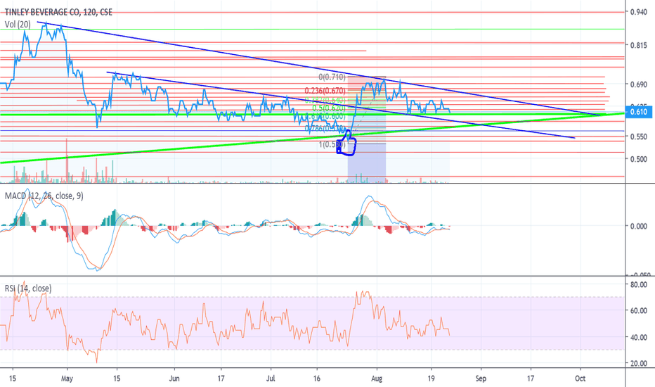 TNY is trading on the 0.618 Fibonacci & RSI is low 40.