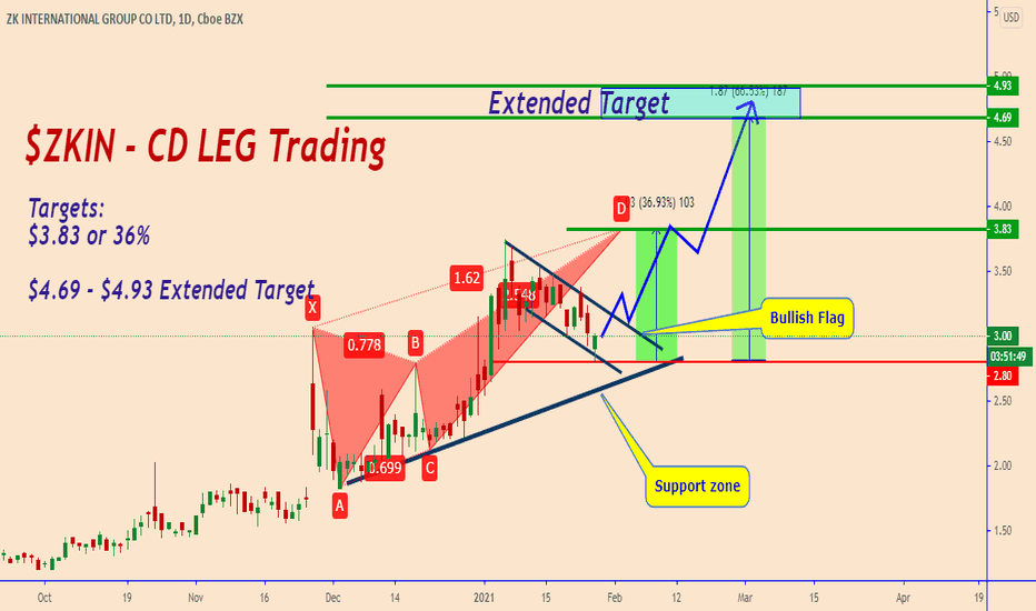 ZKIN: Just A Small Correction - Can We Buy Again?