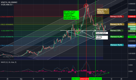 Strong support for Vechain Thor (VEN)