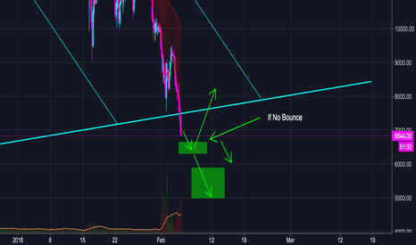 Bitcoin Update Feb 5