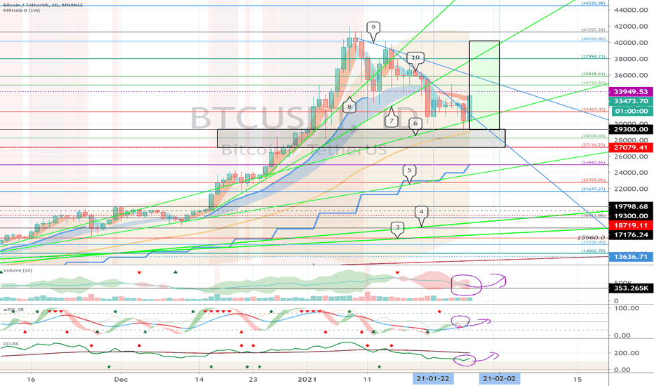 Bitcoin (BTC) - January 29 (volatility period around January 28)