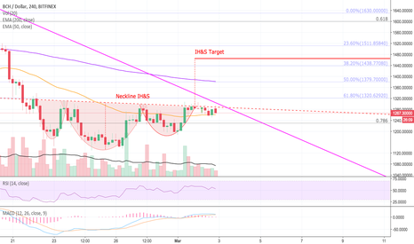 When Comes the Cash for Bitcoin Cash? — BITCOIN CASH (BCH)