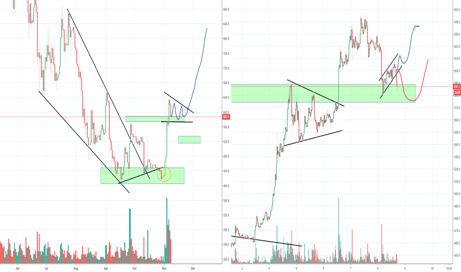 BCH Bitcoin Cash Ready to make a Bull Flag?