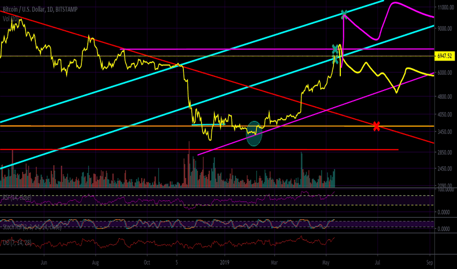  Was There EVER A Bear market? (BTC)