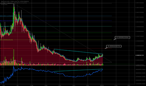 NMC Long