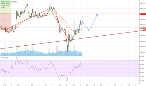 First corrective wave
