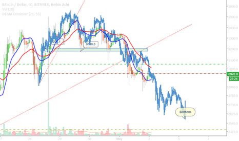 Bottom Bitcoin