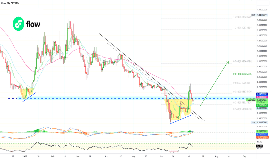 ✴️ Flow Bullish Potential