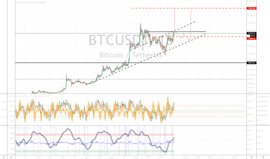 BTC (Y20.P3.E24).My Thoughts for now