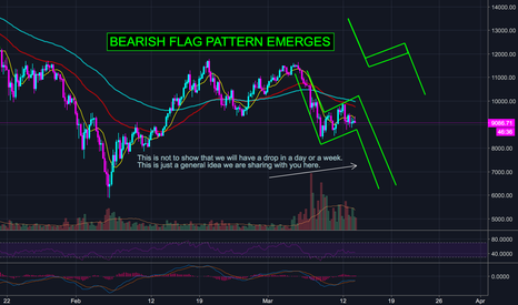 BITCOIN ON A BEARISH FLAG