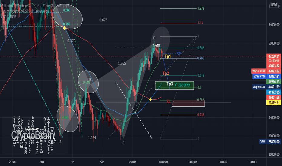 תנועות תרשים ביטקוין BTC