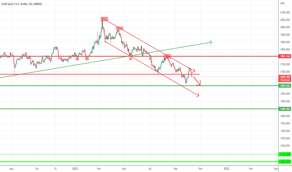 Gold- Bears have won the battle
