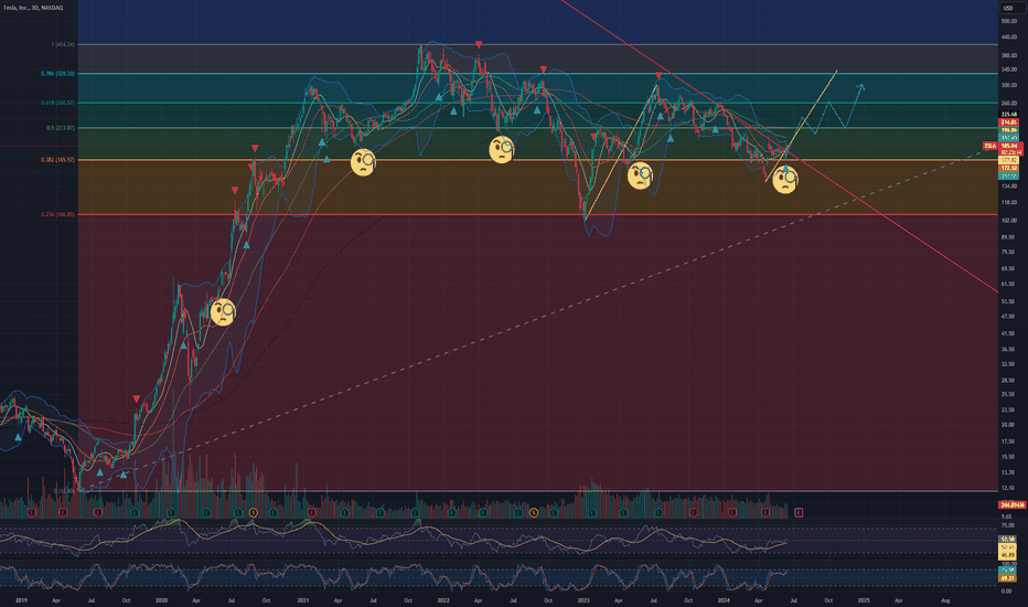 $TSLA "Seasonality" aka #WHITEBOYSUMMER