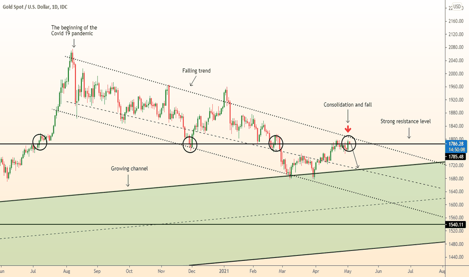 DeGRAM | GOLD beginning of fall after consolidation