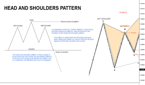 Head & Shoulders // Educational ®