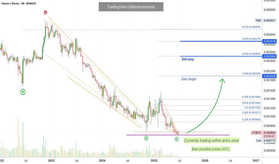 Litecoin vs Bitcoin —The Institutional Wave? Consider the ETFs
