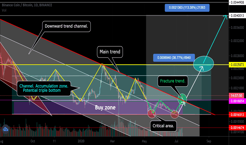 BNB/BTC Breakdown of the downtrend. Past ideas +23 13 58 70 125%