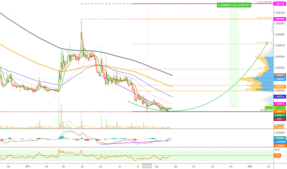Ripio Credit Network (RCNBTC) Project Overview & Chart Signals