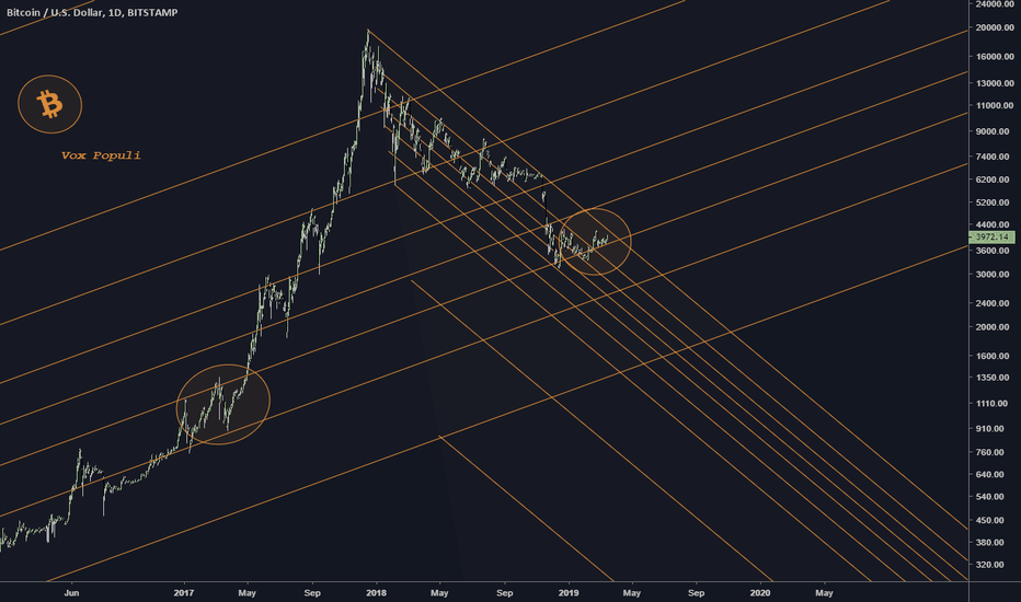 BEAR MARKET OVER?!