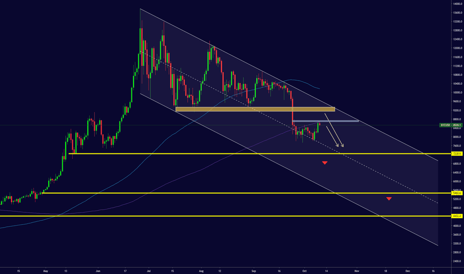 BTC Update 1O/1O/19