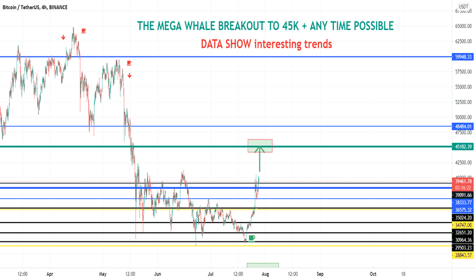 THE MEGA WHALE BREAKOUT TO 45K ANY TIME POSSIBLE - MAIN TREND