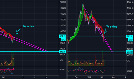 Bitcoin Update Feb 7