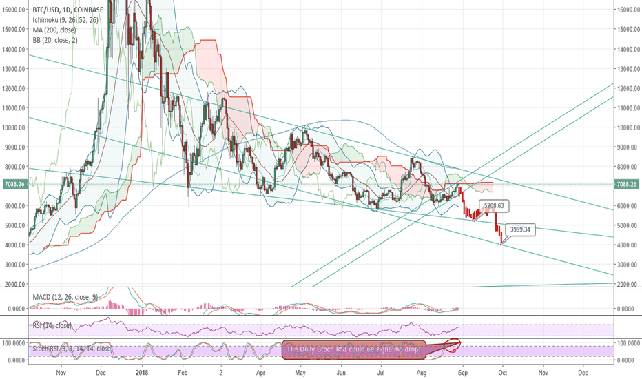 BTC up in the last week! But is it a Bull TRAP?